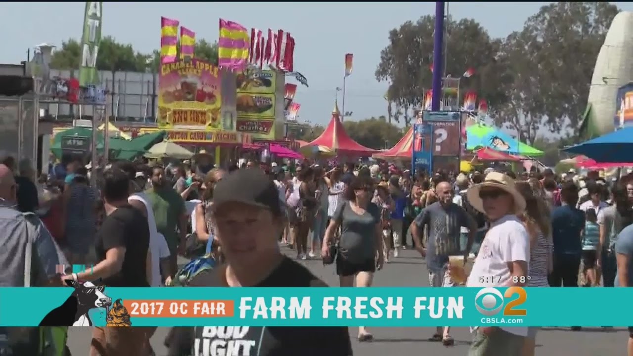 Farm Fresh Fun In Costa Mesa: OC Fair Kicks Off
