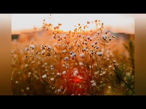 MrBull 》Antonio Giacca - Real Love