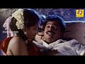 எலுமிச்சம்பழ புளிப்பு அடி இஞ்சிமரப்�