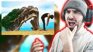 WTF BRIAN?! Brian May - Slow Down [REACTION!]