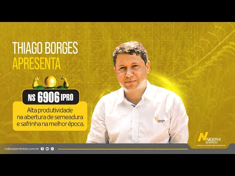 NS6906 IPRO - Precocidade e sanidade foliar