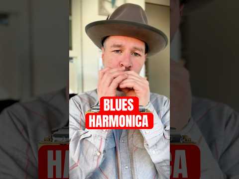 Harmonica Tutorial for Beginners Blues Riff Harmonica #harmonica #blues