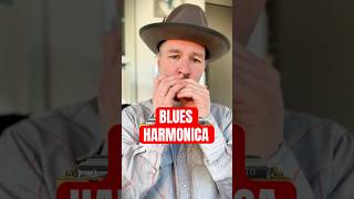 Harmonica Tutorial for Beginners Blues Riff Harmonica #harmonica #blues