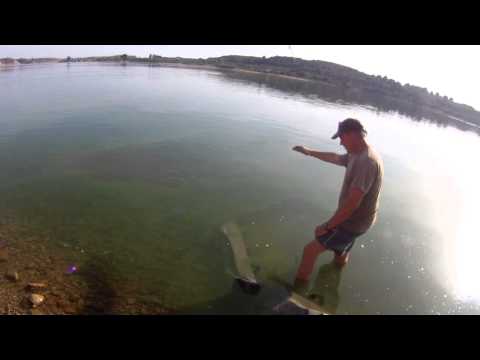 Catfish fishing on the River Ebro, Spain 102 lbs Wels Catfish