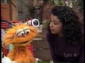 Sesame Street 3828 Natasha S Hoongie