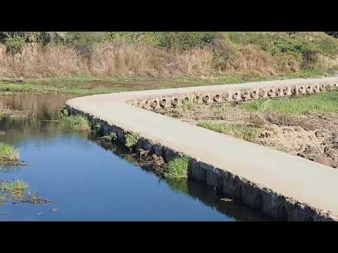 ATUALIZAÇÃO DO AÇUDE MUQUEM EM CARIUS CEARÁ HOJE 25.06.2026