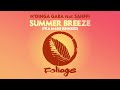 N Dinga Gaba Feat Sahffi Summer Breeze Fka Mash Re Glitch