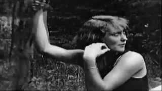 Musikvideo med Fløjl: Lille Nelly