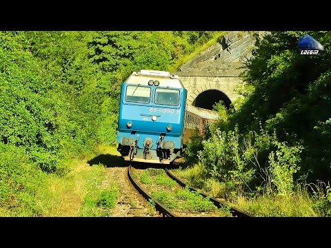Trenuri cu Mecanici de Treaba/Trains with Nice Engineers in Apuseni Mountains - 01 August 2015