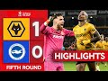 Super Mario Lemina! | Wolves 1-0 Brighton & Hove Albion | Fifth Round | Emirates FA Cup 2023-24