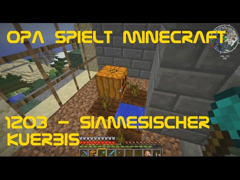 Opa spielt Minecraft 1203 - Siamesischer Kürbis