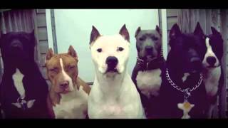 MC KAMIKAZE - MEU BANDO ( PROD. NICKSON PIERRE)