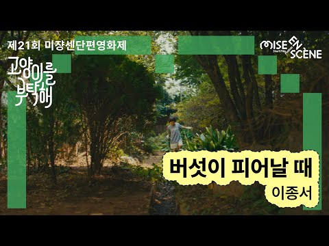 MSFF2025 [고양이를 부탁해] 버섯이 피어날 때 | 이종서 감독