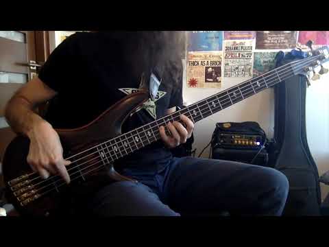 The GOASTT - Too Deep (Bass Cover) [Pedro Zappa]