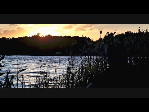 Bergmanis - Być sobą III feat. NGE (Official Video)