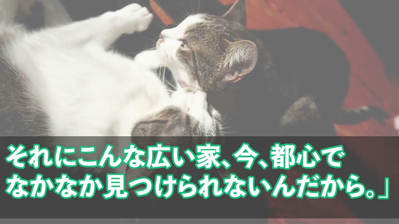 【スカッとする話】がめつい兄夫婦が都心の実家を奪いに来たので、実家を譲って母と様子を見ていると…