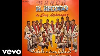 Banda El Recodo de Cruz Lizarraga - Costumbres (Cover Audio)