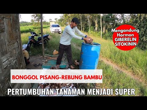 , title : 'Membuat Sendiri Pupuk Organik Cair Super Lengkap Unsur Haranya plus ZPT'