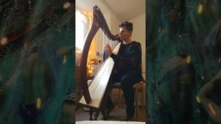 【Final Fantasy X】Song of Prayer ~ Hymn of the Fayth (harp & vocal cover)