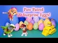 PAW PATROL Nickelodeon Paw Patrol 20 Surprise ...