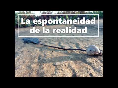 La espontaneidad de la realidad