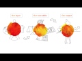 NN Group S Value Creation Animation