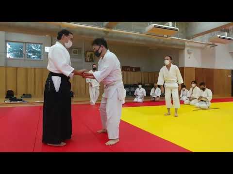合気下げ（受けが拳と杖）