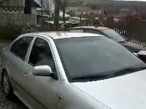 petrecerea vanatorilor