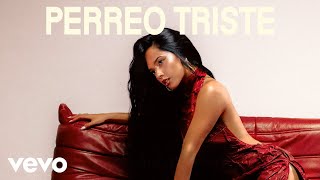 PERREO TRISTE Lyrics  Translation