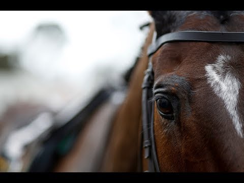 Douvan's chasing debut