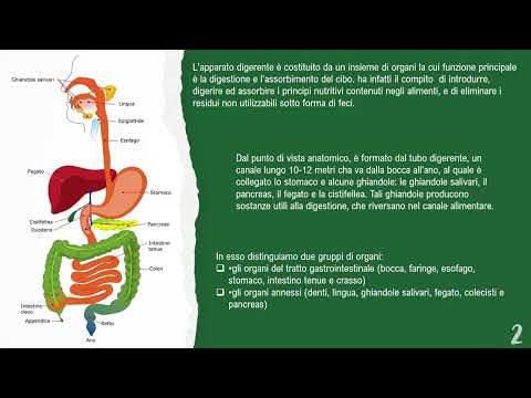 DIGESTIVE SYSTEM PART 1