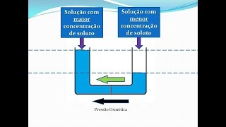 Como funciona a Osmose Reversa - Descrição Básica