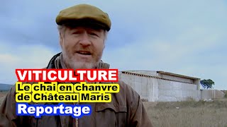 preview picture of video 'VITICULTURE : La construction du chai en chanvre de Château Maris'