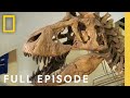 Secrets Of The Deadly T Rex King Of The Dinosaurs Full Episode Lost Beasts Unearthed
