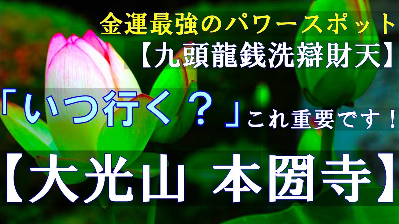 【京都山科　大光山 本圀寺】　巳年のご縁は　金運最強のパワースポット　九頭龍銭洗辯財天さまで！！