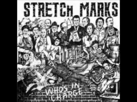 Stretch Marks - Dog's World