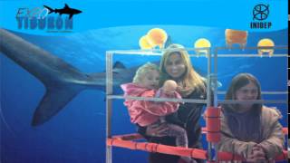 DIA 2 Expo Tiburon111