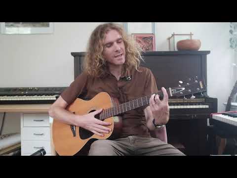 Zinnias - Clairo