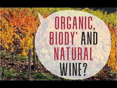 Organic, biodynamic and natural wine : what differences?