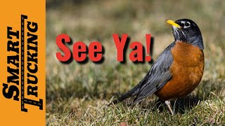 Bye, Bye Birdie! (Robin Hutcheson of the FMCSA Resigns!)