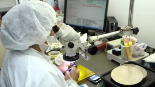 DCCCD Workforce Partner - Micropac Industries, Inc.
