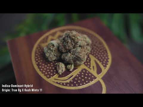 Ganjika House Unboxing of 3.5gs of True OG from Truro Cannabis
