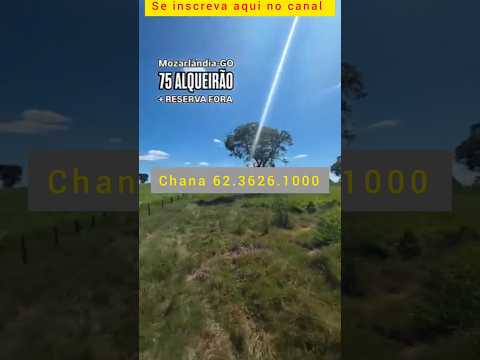 Excelente fazenda em Mozarlândia GO #brasil #agro #fazenda #gado #mozarlandia