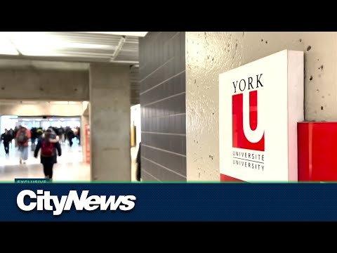 Eight York University employees involved in benefits fraud