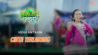 Download lagu CINTA TERLARANG || VIDIA ANTAVIA || UYAH MOTO || JHONT AUDIO mp3