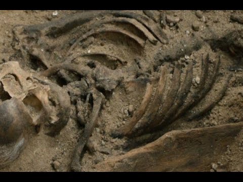 Hallan posibles fragmentos de restos de Cervantes