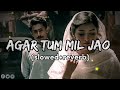 Agar Tum Mil Jao ( slowed+reverb ) lofi song