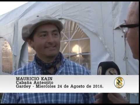 24-08-16 Nota Mauricio Kain - Cabaña Los Ceibos e Invitados - Gardey.