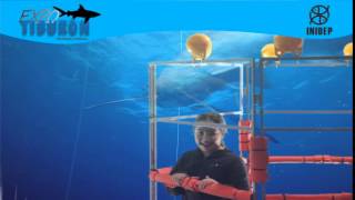 DIA 3 Expo Tiburon185