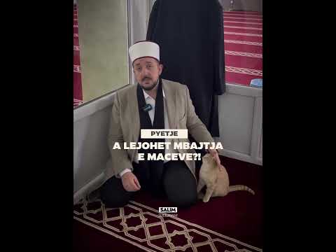 A lejohet mbajtja e maceve në shtëpi  - Salim Sulejmani